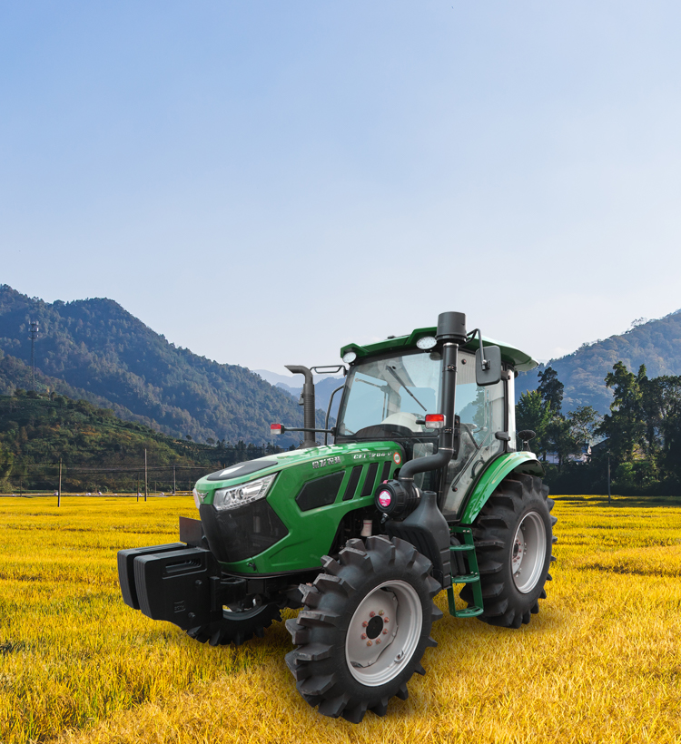 img7 of cate in cate