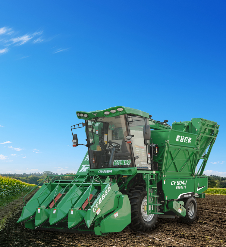 img3 of cate in cate