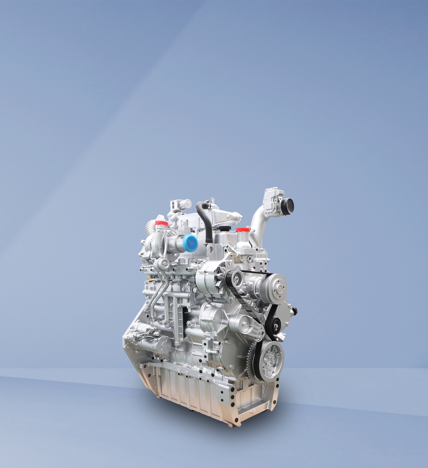 img13 of cate in cate