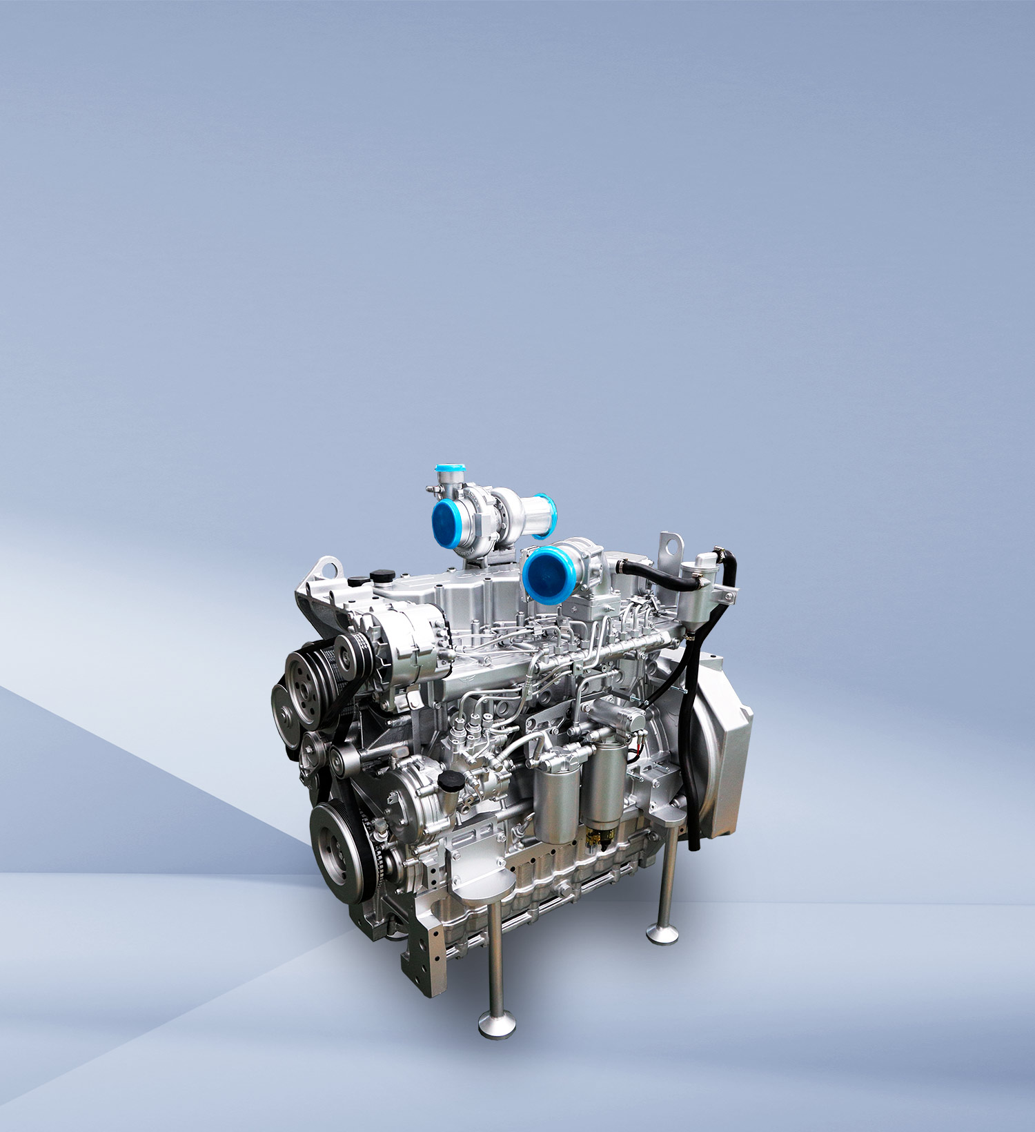 img14 of cate in cate